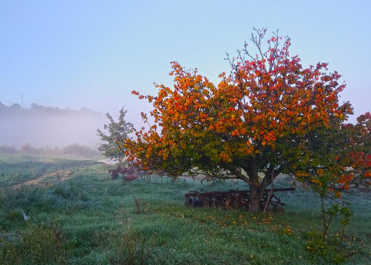 Agriturismo Le Canterie Radicondoli Luaran gambar